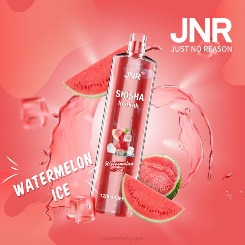 JNR vape flavours- chicha junior RPTN179 glace à la pastèque