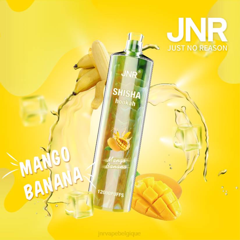 JNR vape nicotine- chicha junior RPTN165 mangue banane