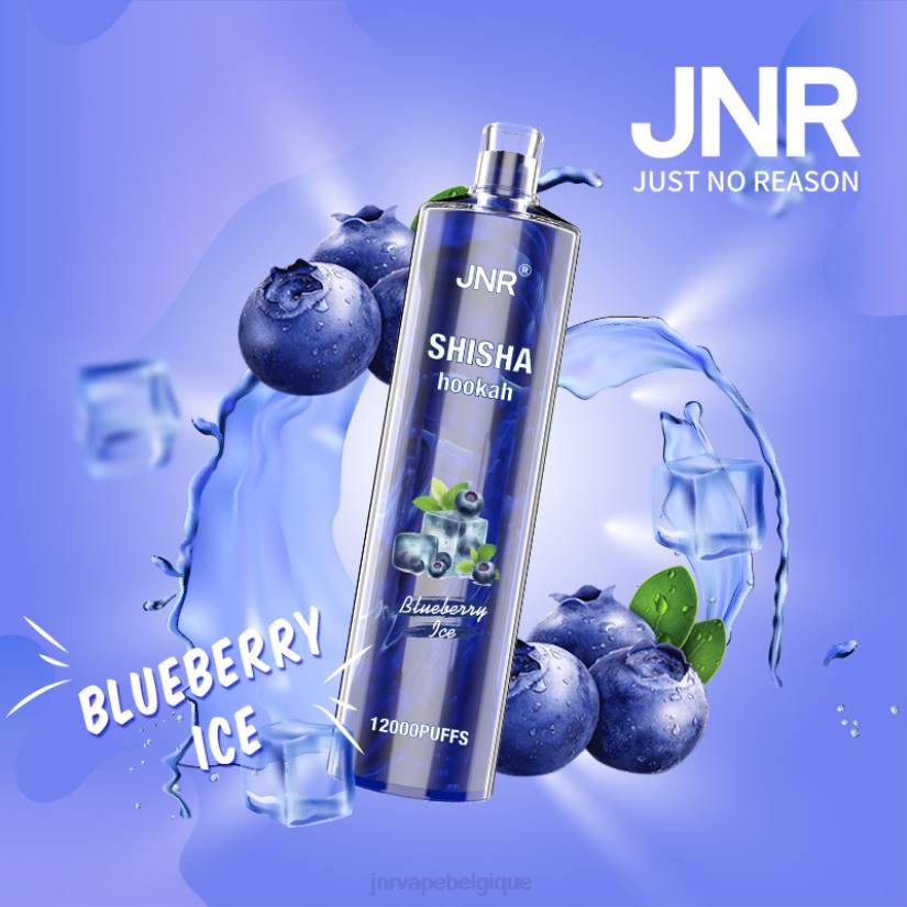 JNR vape prix- chicha junior RPTN161 glace aux myrtilles
