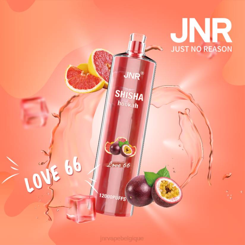 JNR vape prix- chicha junior RPTN181 amour 66