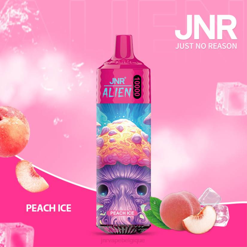 JNR vapes factory- extraterrestre junior RPTN136 glace à la pêche