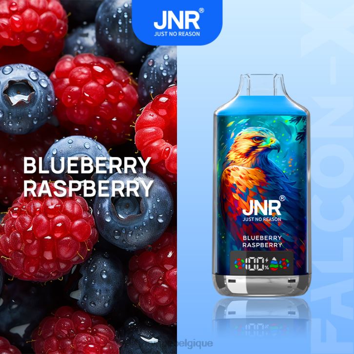 JNR FALCON X X06PDB2 myrtille framboise JNR vape review